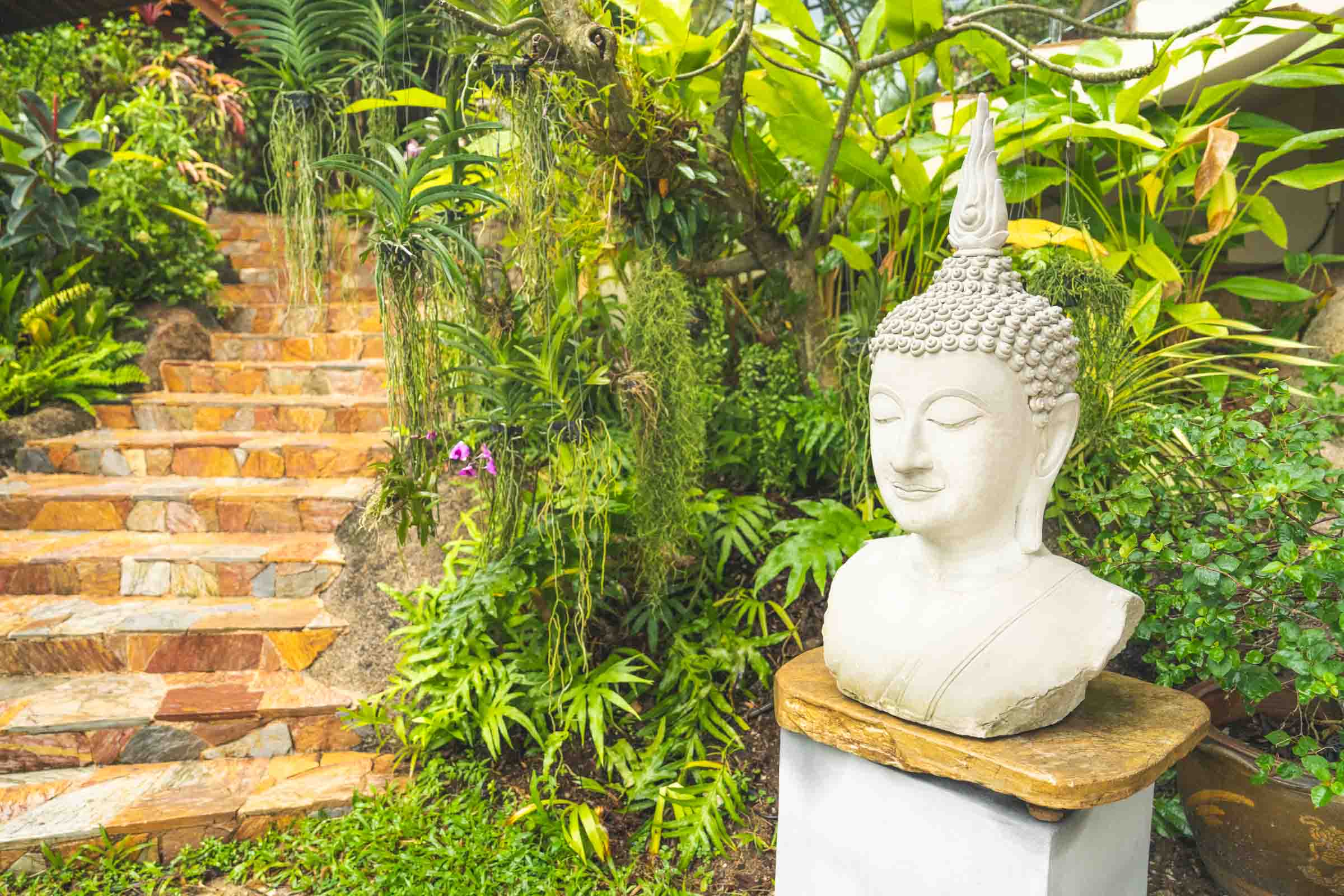 Garden nature